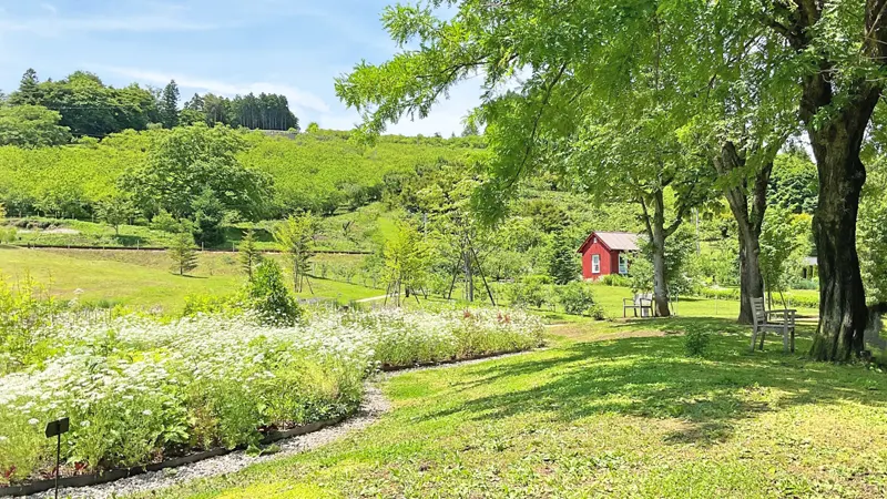 akanojo Gardens grounds
