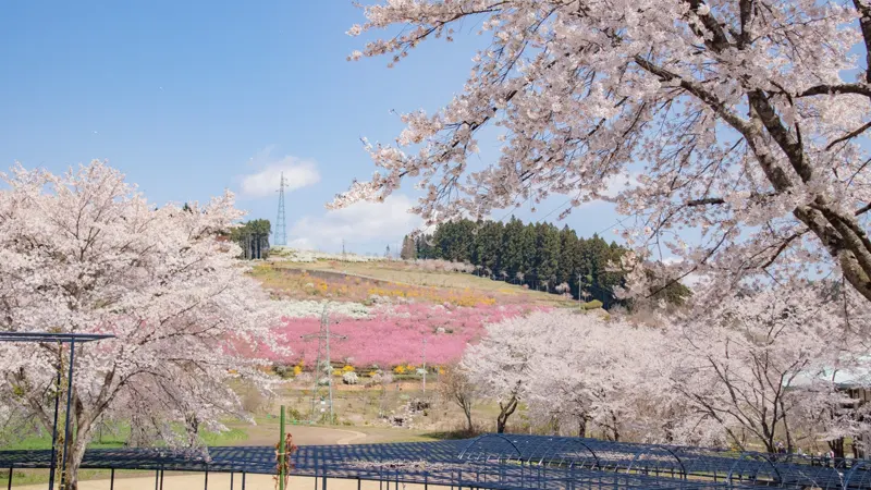 akanojo Gardens grounds