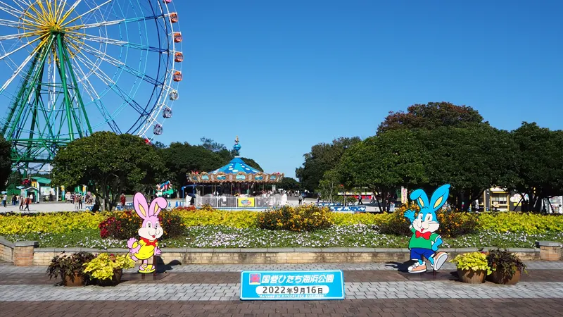 Ferris wheel at Hitachi Seaside Park