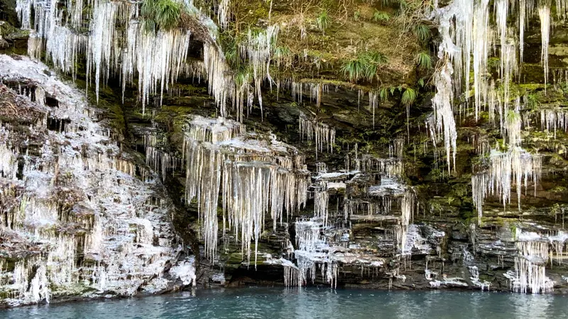 Icicles along Arakawa riverbed