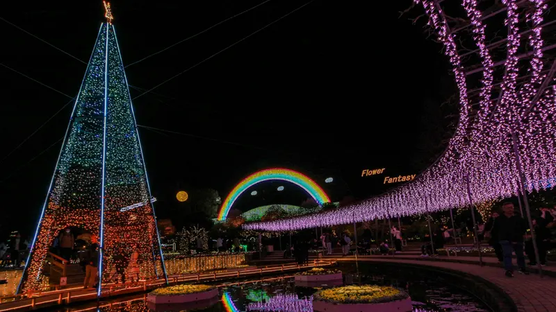 Ashikaga Flower Park illumination