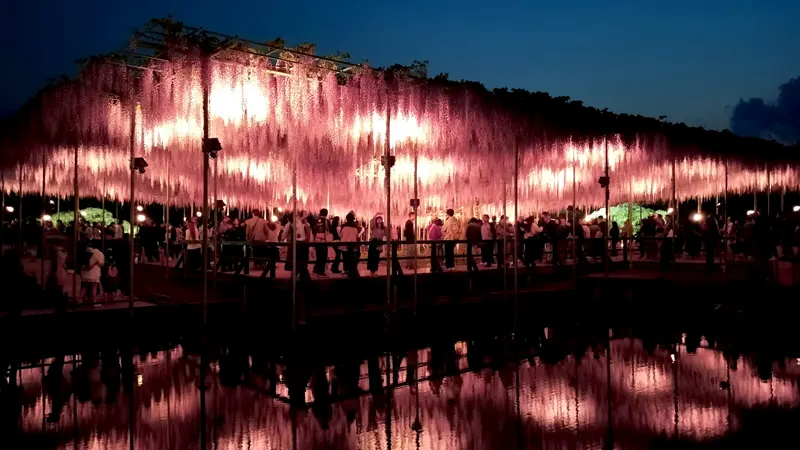 Garden of Flowers light display