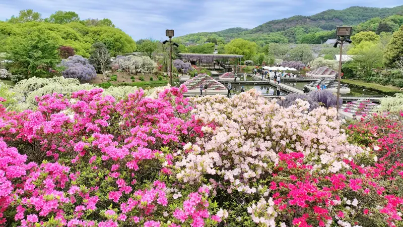 Ashikaga Flower Park overview