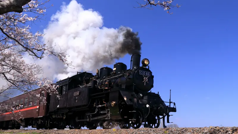 Steam locomotive on Moka Railway