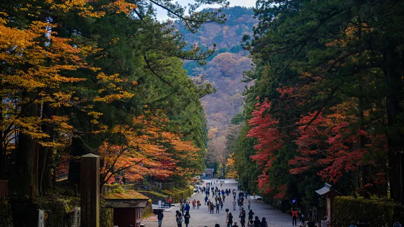 Shrine grounds pathway