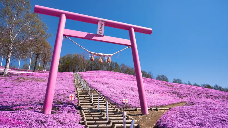 Yamatsumi Shrine pink torii gate