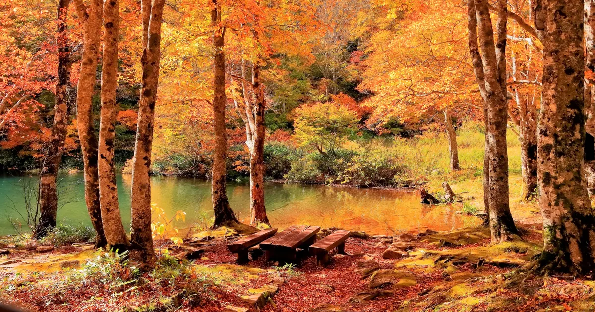 Dokko Pond