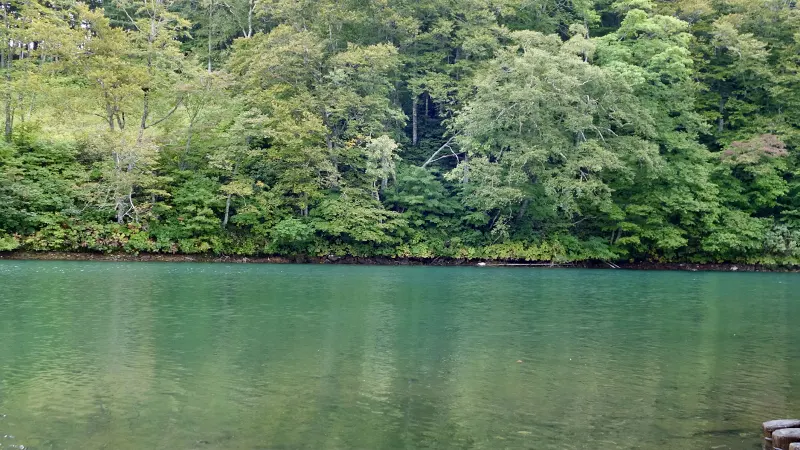 Dokko Pond blue water