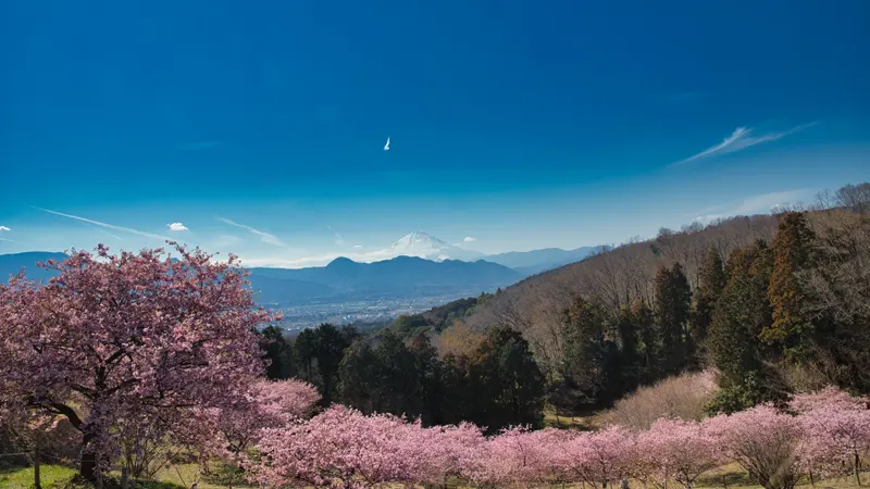 Quiet satoyama landscape
