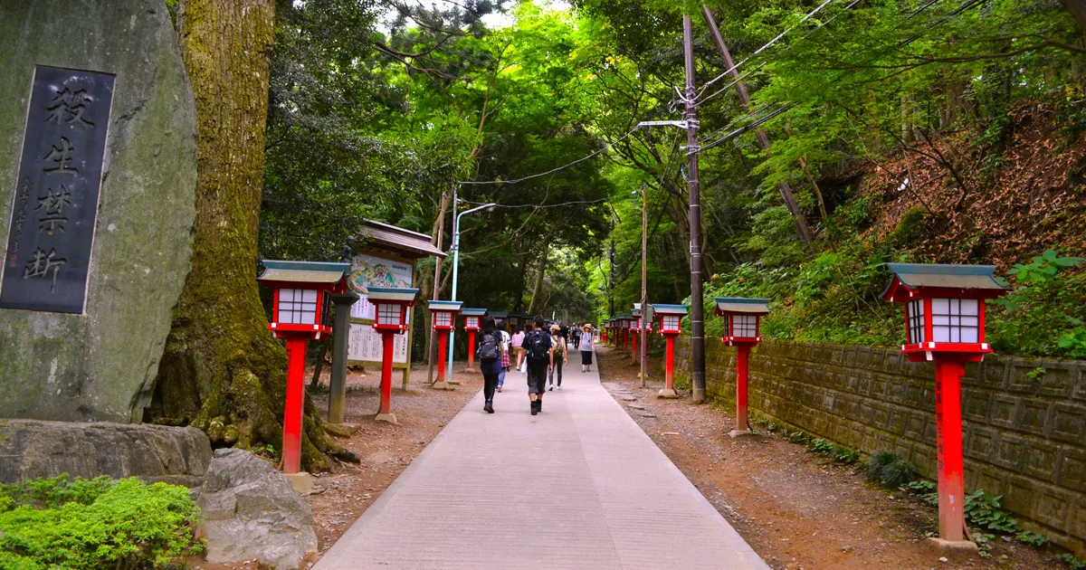 Takao Mountain