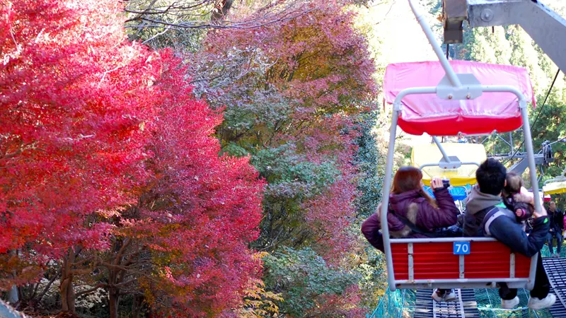 Mount Takao foliage lift