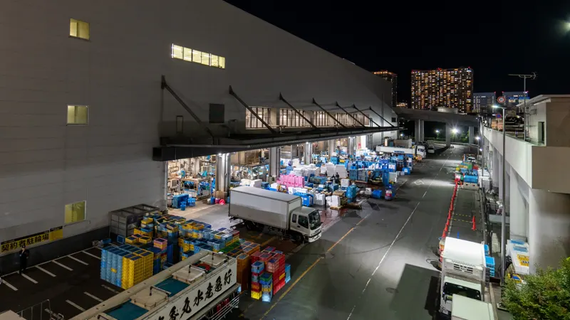 Toyosu Market fish market hall