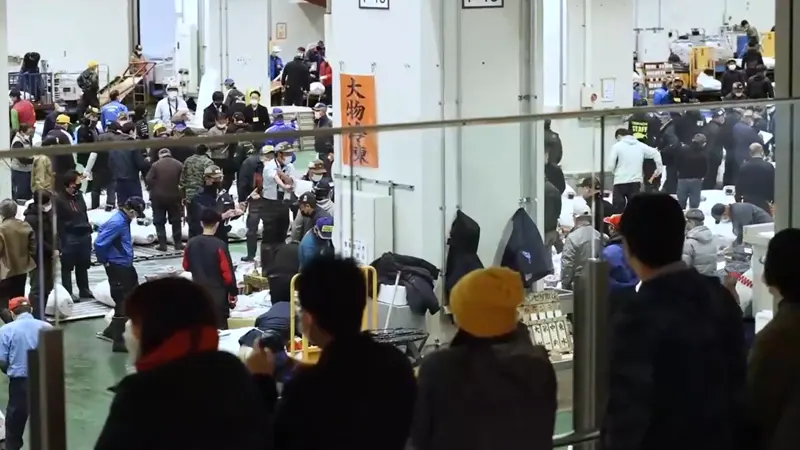 Toyosu Market tuna auction floor