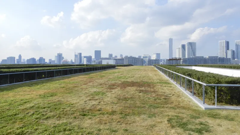 Toyosu Market rooftop garden lawn