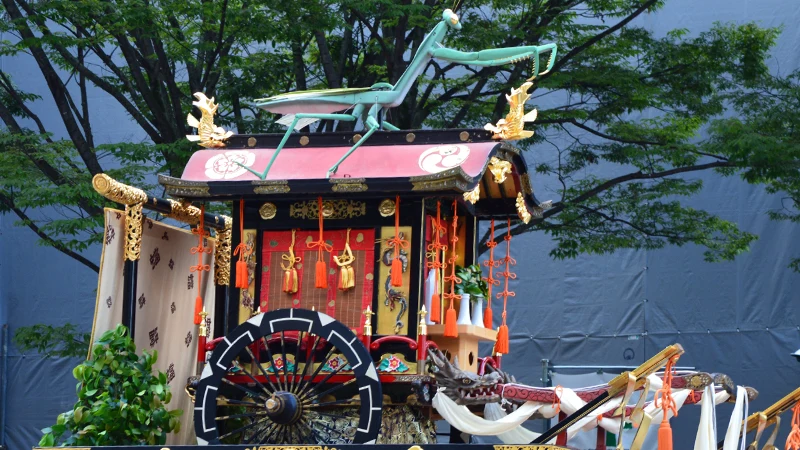 Tourouyama praying mantis