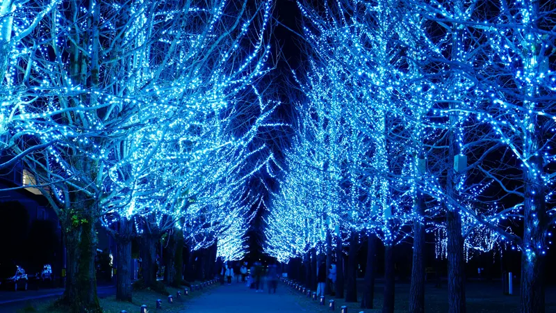Manabi no Mori lights